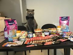 -卷心卷意·轻甜蛋糕(新光天地店)