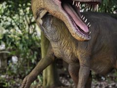 -自贡恐龙博物馆