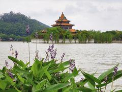 -顺峰山公园