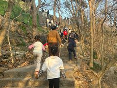 -紫金山山顶公园