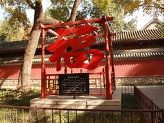 -北京植物园-展览温室