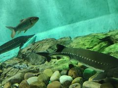 -太平洋海底世界