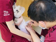 -美联众合动物医院·24h京西诊疗中心
