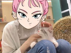 -飞行喵MR PILOT|猫舍·猫咖(静安大融城店)