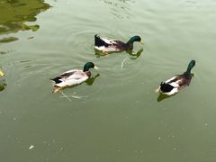 -南宫五洲植物乐园