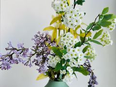 -蝶舍·MAISON PAPILLON