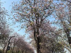 -必胜客(WOW龙归店)