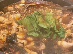 -都江堰石锅鱼