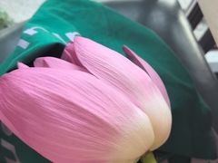 -七的湖·晚芳亭·阳澄湖农家菜·大闸蟹(莲花岛店)