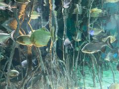 -福州罗源湾海洋世界旅游区