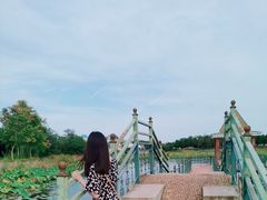 -日照海滨国家森林公园