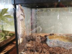 -春晖园度假酒店温泉