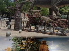 -陕西自然博物馆