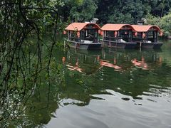 -侨美·唐荔园·40年地道粤菜