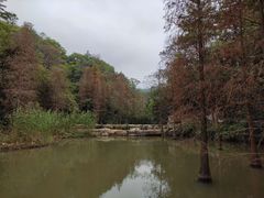 -云溪植物园