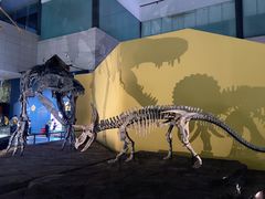 -湖南省地质博物馆