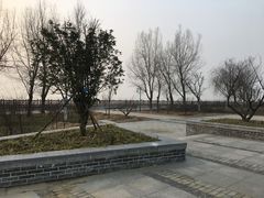 -洪泽湖古堰景区