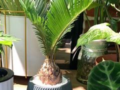 -花样年华花艺生活馆(恒泉花园店)