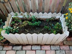 -Rabbit Cafe私房西餐甜点咖啡(栖霞路店)