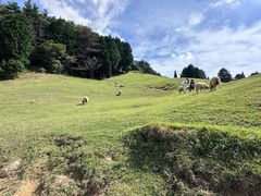 -神户市立六甲山牧场