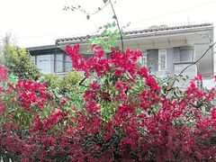 -怡得饭庄·30年老店·宋大妈昆明菜