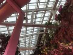 -正佳雨林生态植物园