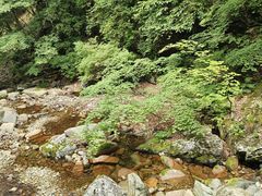 -本溪汤沟绿石谷森林公园