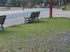 -眉山湿地公园(东坡区)