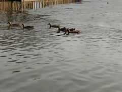 -河北村民俗体验园