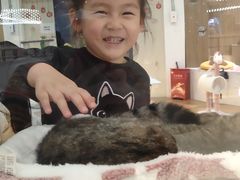 -COLOR PETS 撸猫馆·购猫·猫咖(长风大悦城店)