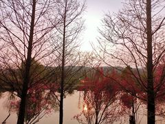 -贵阳市花溪国家城市湿地公园