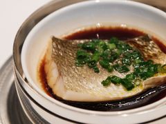 -福1015(愚园路店)
