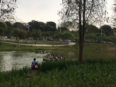 -松山湖梦幻百花洲