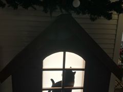 -LONG BAR 廊吧(外滩华尔道夫酒店)