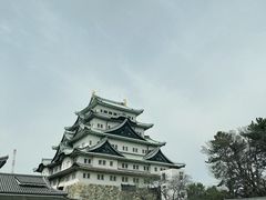 -名古屋城