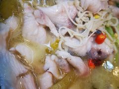 -金三可市井水煮鱼(金碧园店)