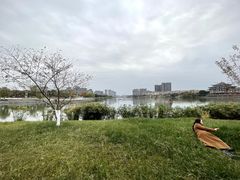 -眉山湿地公园(东坡区)