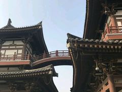 -西安青龙寺遗址景区