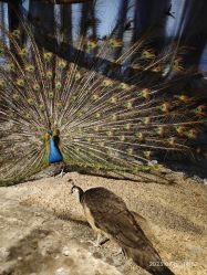 -酷嗒动物文化乐园(cutezoo西溪乐天城店)