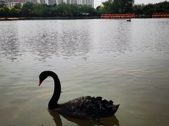 -南翠屏公园