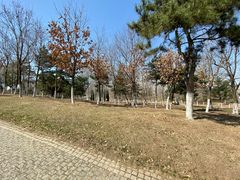 -莫子山公园