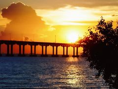 -宝安西湾红树林湿地公园