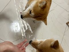 -静宜和她的朋友(星海广场店)