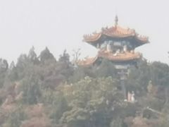 -府君山公园