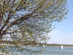 -武清南湖绿博园