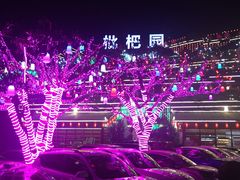 -枇杷园食为鲜火锅(南山店)