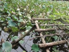 -韶山毛泽东同志故居