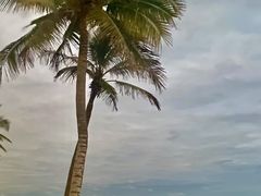 -海南清水湾莱佛士酒店