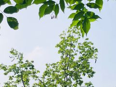 -苏州上方山国家森林公园