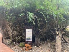 -西岭雪山大飞水景区